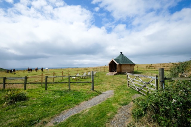 wedding bbq hut devon